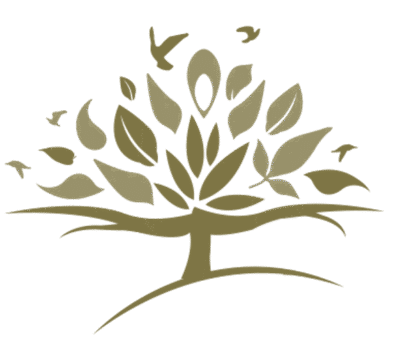 The Life Map Foundation